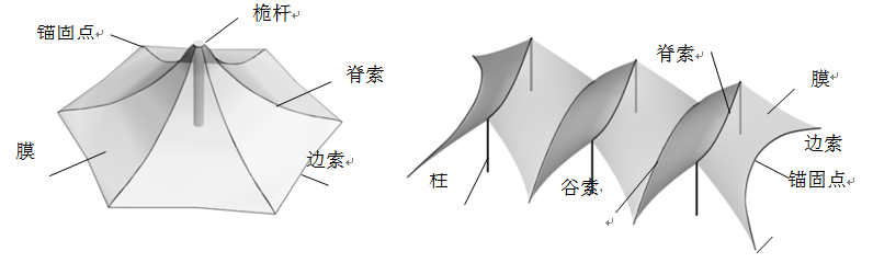膜結構有哪些類型？